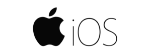 iso-300x110